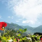 Appartamento Haus Schatz Kitzbühel